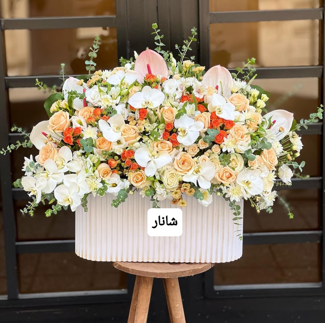 باکس ترکیبی  (b3006)